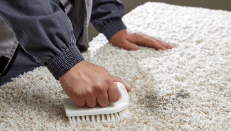 Professional Rug Cleaning Mount Burnett