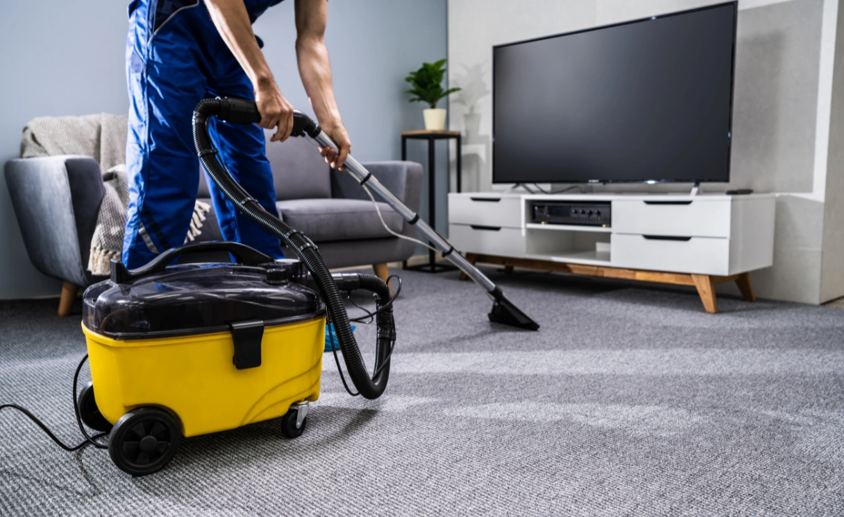 Extract Rug Cleaning Mount Burnett Contact Office